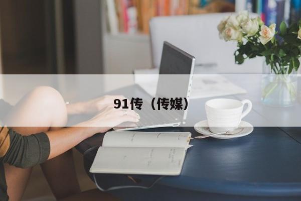 91传(传媒)